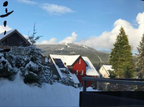 Moderne, ruhige Ferienwohnung in Braunlage / Harz